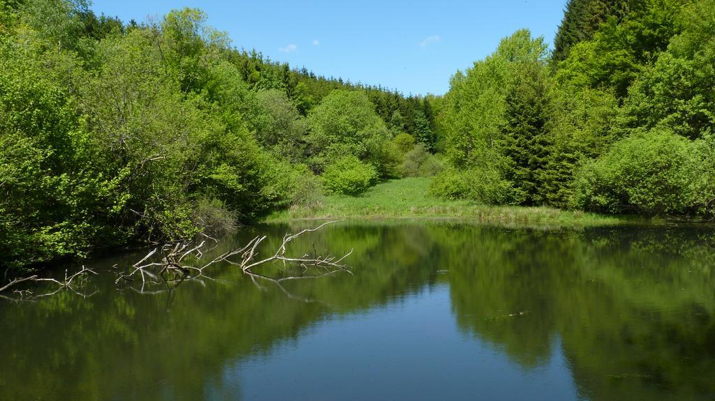 Landidyll Landhaus Liesetal Hallenberg Exteriör bild