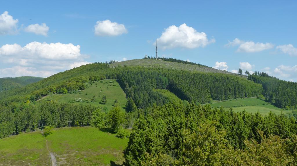 Landidyll Landhaus Liesetal Hallenberg Exteriör bild