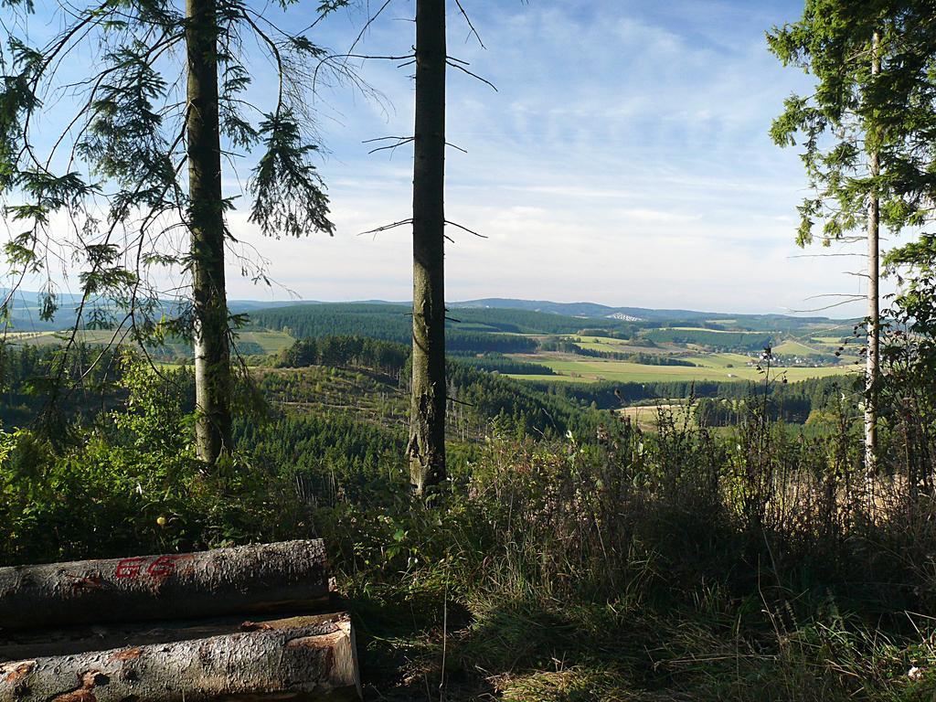 Landidyll Landhaus Liesetal Hallenberg Exteriör bild