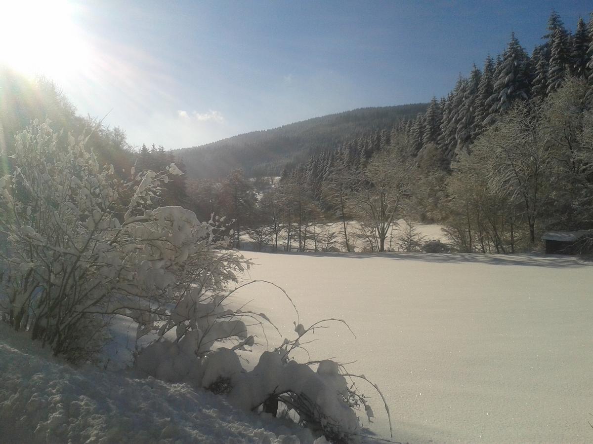 Landidyll Landhaus Liesetal Hallenberg Exteriör bild